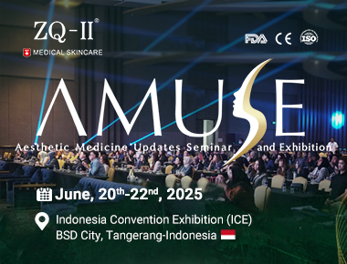 アミューズインドネシアのZQ-II | 6月20〜2日